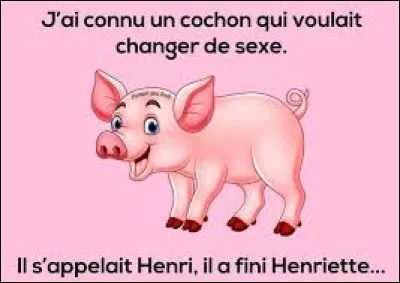 Quel mammif&egrave;re poss&egrave;de le plus long p&eacute;nis proportionnellement &agrave; sa taille corporelle ?