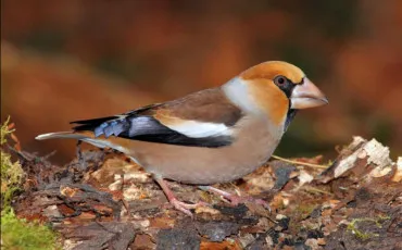 Quiz Culture g�n�rale