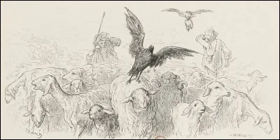 "L'Oiseau de Jupiter enlevant un mouton,Un Corbeau t&eacute;moin de l'affaire,Et plus faible de reins, mais non pas moins glouton,En voulut sur l'heure autant faire.Il tourne &agrave; l'entour du troupeau,Marque entre cent Moutons le plus gras, le plus beau,Un vrai Mouton de sacrifice...".Qu'incarne le corbeau ?