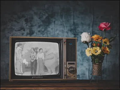 Quel ingr&eacute;dient n'est pas dans la pr&eacute;paration du Gloubi-boulga, mets ador&eacute; de Casimir ?