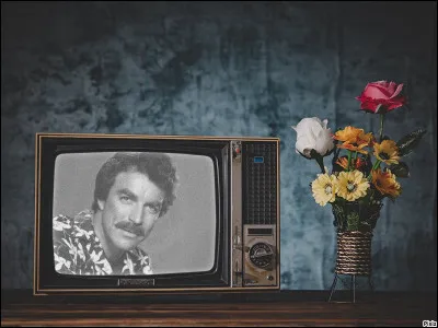 Comment se nomment les deux chiens du majordome Higgins dans la s&eacute;rie Magnum ?