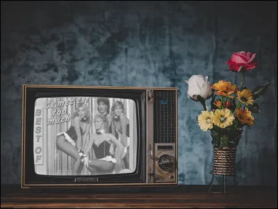 &Agrave; quelle heure la &laquo; Playmate &raquo; apparaissait-elle dans l'&eacute;mission humoristique de St&eacute;phane Collaro (Cocoboy) ?