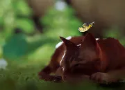 Test ''Stray'' est-il fait pour toi ?