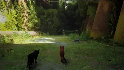 Quel &acirc;ge as-tu ?