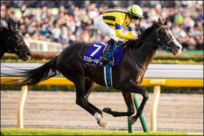 Quel sport de combat traditionnel est consid&eacute;r&eacute; comme le sport national japonais ?