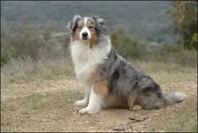 D'o&ugrave; vient-il ?