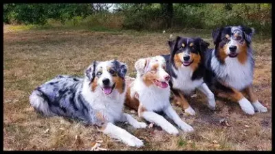 Quelle taille font les m&acirc;les ?