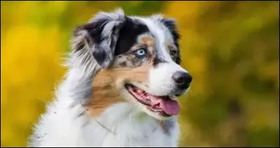 Que demandent-ils au minimum par jour ?