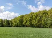 Quiz Culture g�n�rale (1)