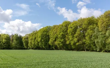 Quiz Culture g�n�rale