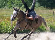 Quiz Les disciplines d'�quitation