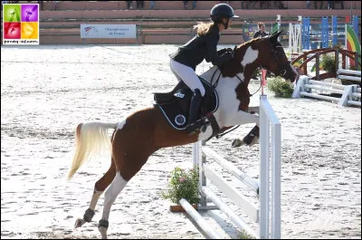 Quelle est cette discipline ?