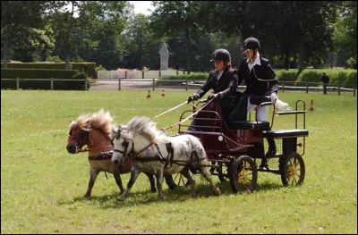 Quelle est cette discipline ?