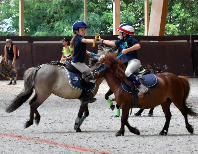 Quelle est cette discipline ?