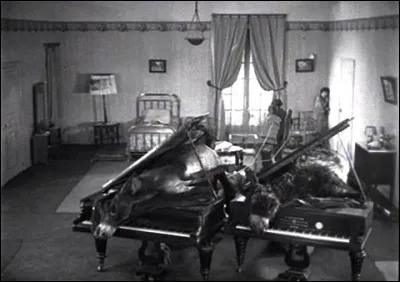 Ces deux &acirc;nes coinc&eacute;s dans des pianos correspondent au courant...