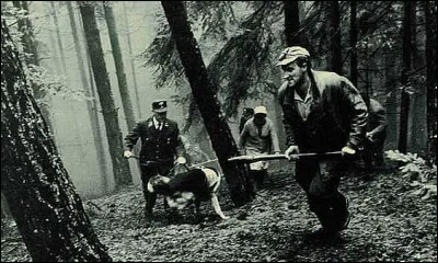 Comment se nomme ce courant de cin&eacute;ma des ann&eacute;es 60 et 70 mettant au centre du film des pr&eacute;occupations sociales et politiques ?