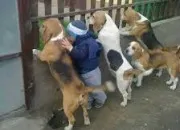 Quiz Qui est l'intrus ?