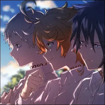 Dans the Promised Neverland les h&eacute;ros sont Emma Ray et Normand.