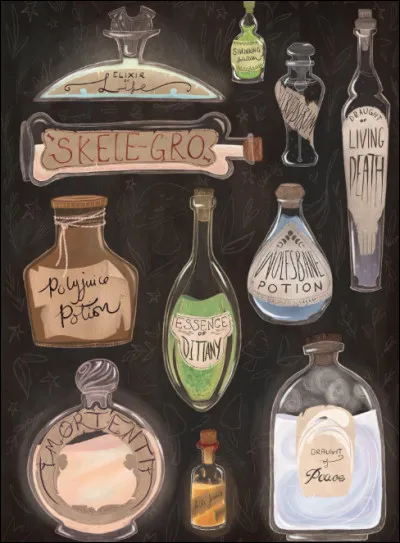 Quelle mati&egrave;re pr&eacute;f&egrave;res-tu enseigner &agrave; Poudlard ?