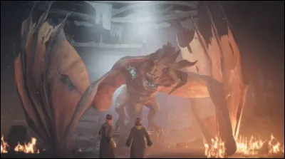 &Agrave; quoi servent les dragons que les braconniers ont captur&eacute;s ?