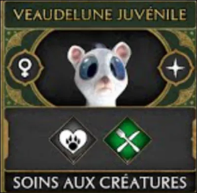 Que signifie l'&eacute;toile sur le c&ocirc;t&eacute; sur certains animaux ?