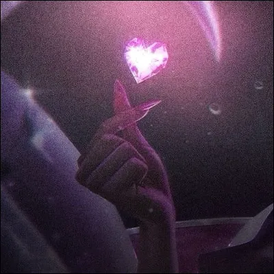 Si tu &eacute;tais une idole, tu serais...