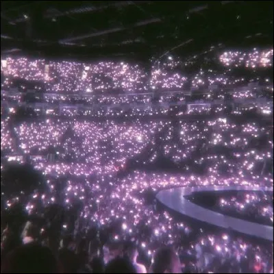 Pendant un concert, que fais-tu ?