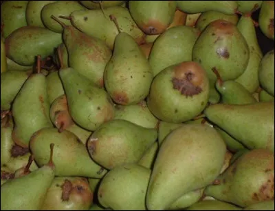 Le 2eme volume des Rougon-Macquart, de Zola, c'est...