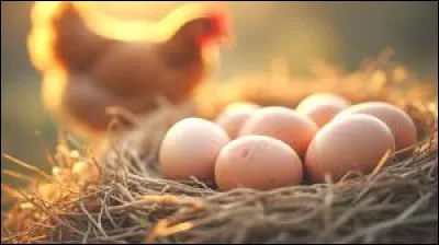 Y a-t-il de l'oeuf dans un cassoulet ?