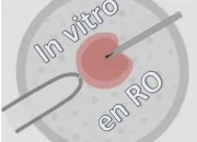 Quiz In vitro en Ro