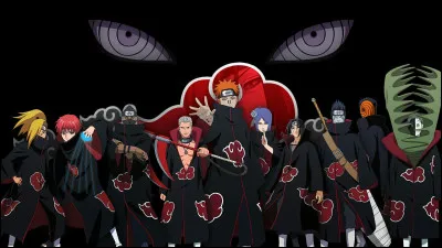 Avec quel membre de l'Akatsuki aimerais-tu travailler ? (2)