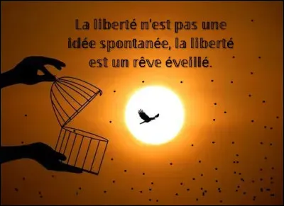Tu n'as pas dit &agrave; ton ami(e) les noms qu�il/elle te demandait mais d'autres noms en lui faisant promettre de ne rien dire aux autres mais il/elle t�a d&eacute;nonc&eacute;(e).Que fais tu ?