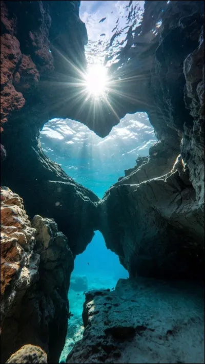 Tu termines ton ann&eacute;e tranquille et tu pars en vacances mais tes parents t�annoncent qu�ils partent en vacances en amoureux. Que fais-tu ?