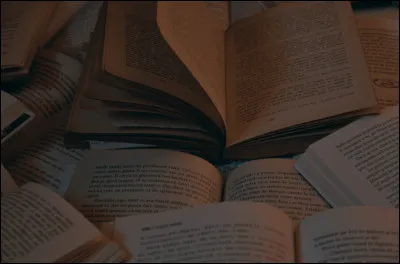 Quel sac &agrave; dos as-tu actuellement ?