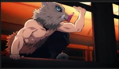 Quel &acirc;ge a Inosuke dans la saison 1 ?