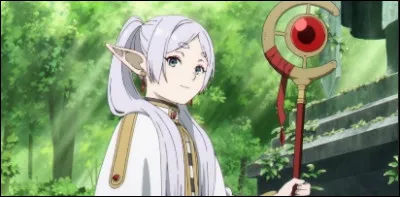 Avec quoi se bat-il ?