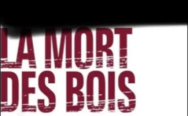 Quiz Litt�rature, po�sie