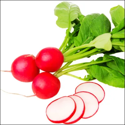 Quel beurre consomm&eacute; en France surtout en Bretagne, en Pays de la Loire et en Poitou accompagne le radis ?