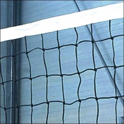 Quel sportif fran&ccedil;ais, double champion olympique, a sorti un album de rap sous le nom Klima ?