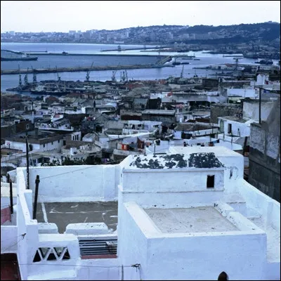 Quel groupe de rock britannique a sorti en 1982 l�album "Combat Rock" ?