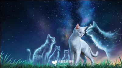 Laissons faire les premiers chefs des 4 Clans ! Peux-tu me dire combien de compagnes a eu Ciel Bleu ?