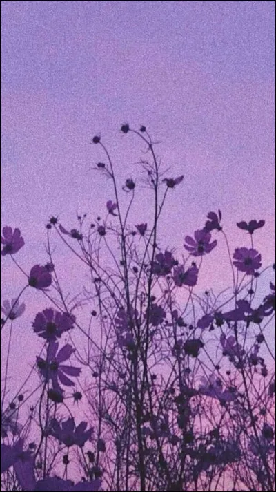 Tu pr&eacute;f&egrave;res :