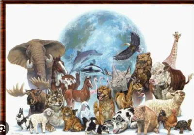 Quel est ton animal pr&eacute;f&eacute;r&eacute; ?
