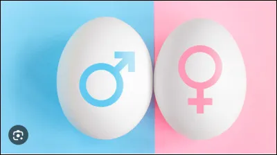 Derni&egrave;re question : est-ce que tu es une fille ou un gar&ccedil;on ?