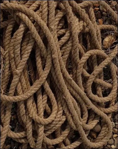 Pourquoi y a-t-il une corde pendue sur l�arbre d�un pic rocheux ?