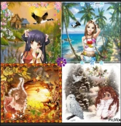 Quelle est ta saison pr&eacute;f&eacute;r&eacute;e ?