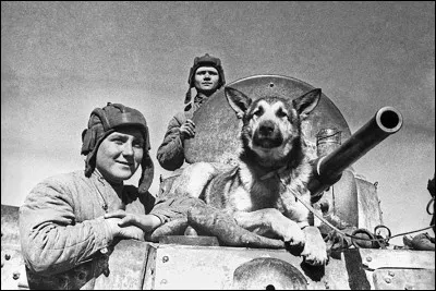 Existe-t-il des monuments aux morts d&eacute;di&eacute;s aux animaux ?