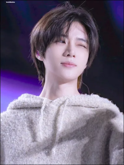 Quelles sont ses couleurs pr&eacute;f&eacute;r&eacute;es ?