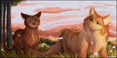 &Agrave; quel clan appartient Nuage de Jais ?