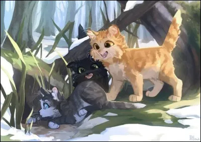 &Agrave; quel clan appartient &Eacute;toile du Campagnol ?